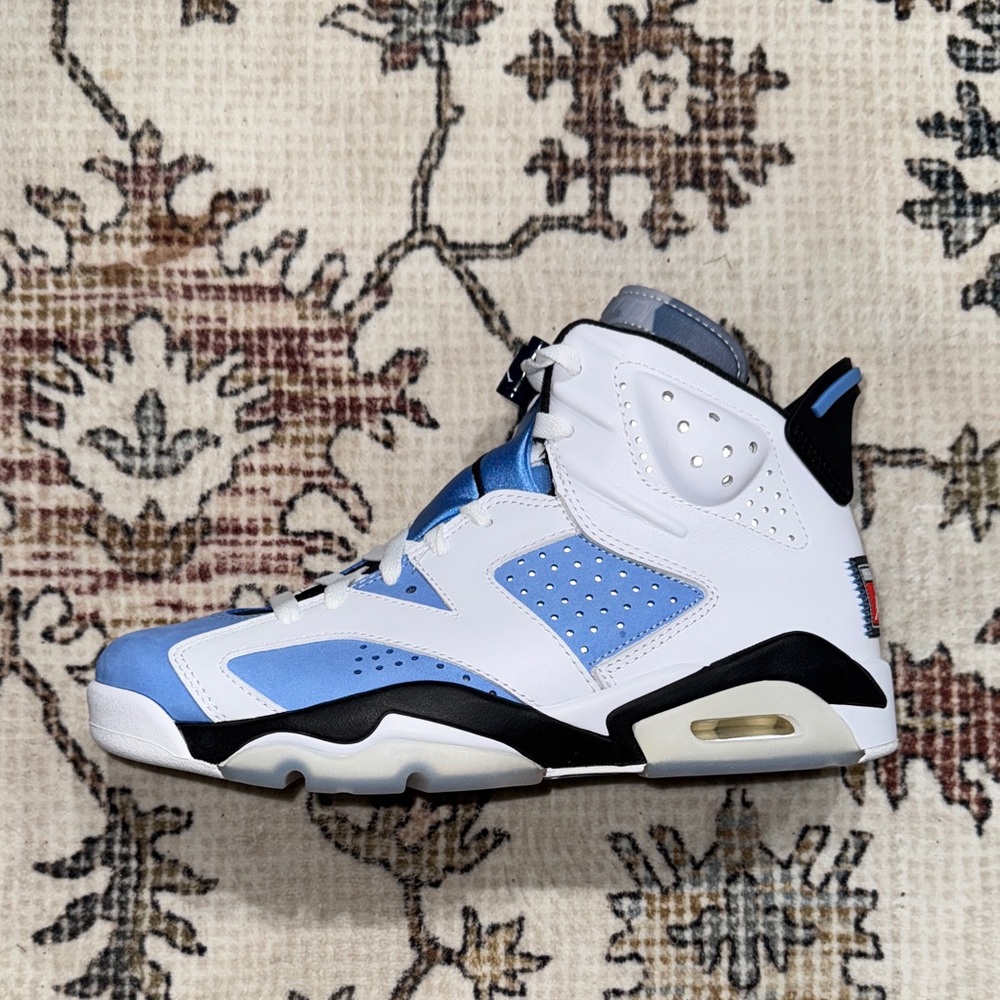 Jordan 6s UNC